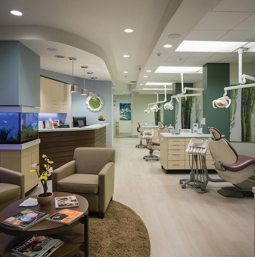 SMSF Property Loans for Dentists